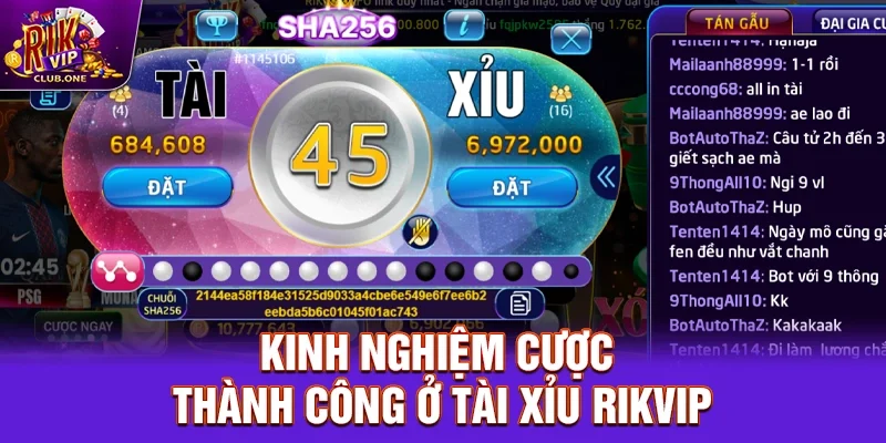 Kinh nghiệm cược thành công ở Tài xỉu Rikvip